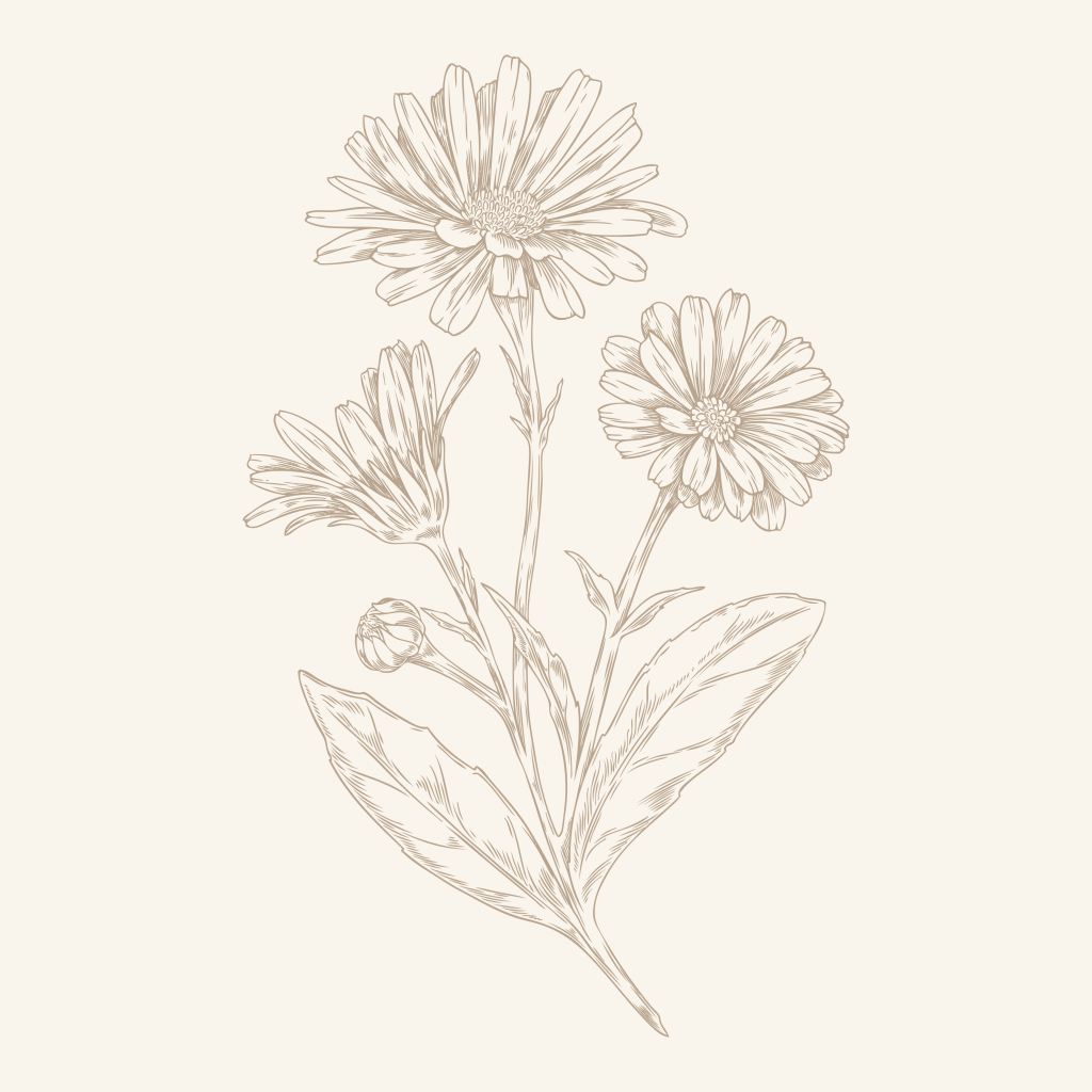 Meekness vs. Weakness